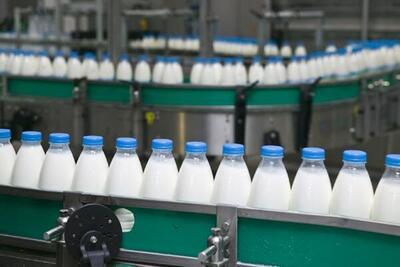 کارخانه های لبنی مازندران روزانه پنج هزار تن شیر نیاز دارند