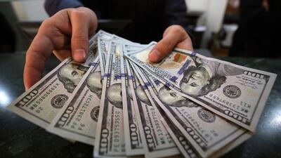 فریز قیمت دلار تا انتخابات مجلس | اقتصاد24