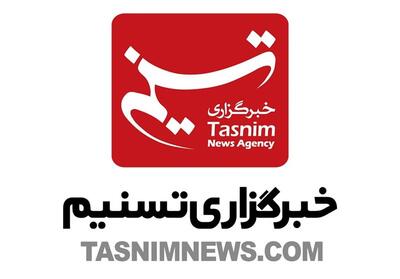 امام جمعه شهرکرد: انتخابات یک تکلیف شرعی و عفلی است - تسنیم