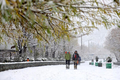 احتمال کولاک برف در تهران