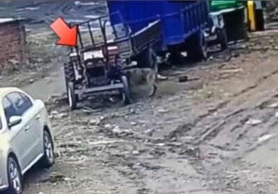 (ویدئو) یک سگ با روشن کردن تراکتور حادثه‌ساز شد