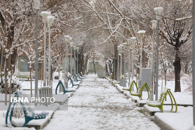 آغاز بارش‌ها از امشب در شیراز / مناطق غربی و شمال غرب فارس منتظر بارش برف باشند