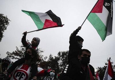 ببینید | تصاویر عجیب از عربستان؛ بازداشت یک زائر زن را به خاطر پرچم فلسطین!