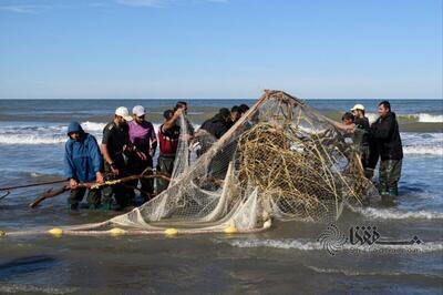 گزارش تصویری: تورهای پاره، سهم صیادان از ماهیگیری | خبرگزاری بین المللی شفقنا