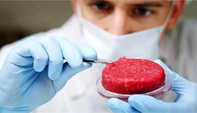 دستیابی یک شرکت‌ دانش‌بنیان به فناوری تولید گوشت مصنوعی/گوشت‌های مصنوعی مضرات گوشت فعلی را ندارد
