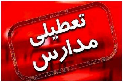 مدارس شهر یزد هم فردا غیرحضوری شد
