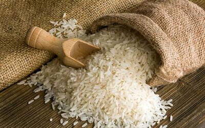 برنج هندی به رکورد جدیدی رسید