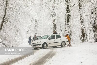 (تصاویر) طبیعت زیبای سوادکوه در برف