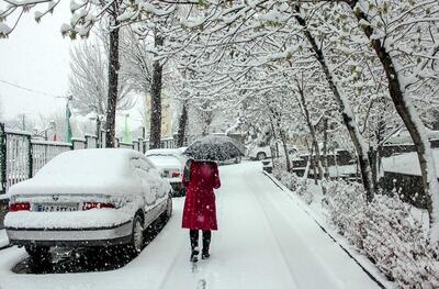 برف سفید بر شانه های تهران | آماده باش تهران در روز برفی | استفاده از محلول خاص برای جلوگیری از یخ‌زدگی