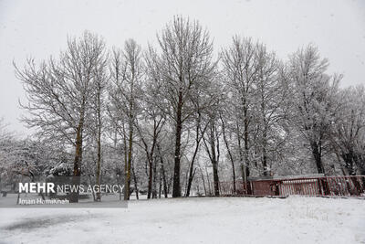 بارش برف روستاهای تفت را سفیدپوش کرد