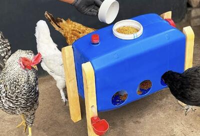 یک ایده فوق العاده برای ساخت دانخوری و آبخوری مرغ با دبه ۲۰ لیتری (فیلم)