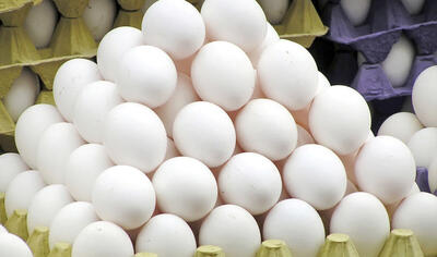 کشف ۶ تن تخم مرغ فاقد مجوز بهداشتی در بوانات