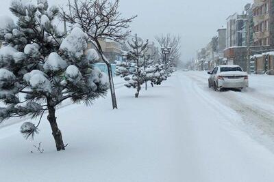 هشدار بارش برف / برف این  ۴ شهرستان و  روستا را بلعید
