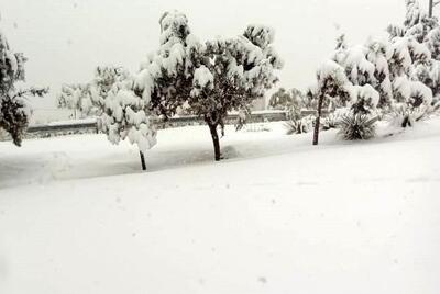 برف یک متری در گیلان/ مدارس تعطیل شد | رویداد24