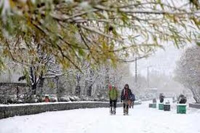 برف دانشگاه‌های این استان را هم تعطیل کرد