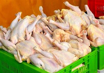 ریزش قیمت مرغ تا مرز نرخ مصوب | قیمت مرغ چقدر شد؟