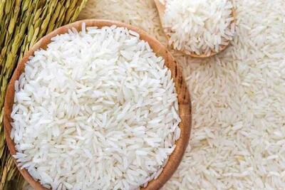 توضیحات سخنگوی دولت پیرامون ماجرای واردات برنج