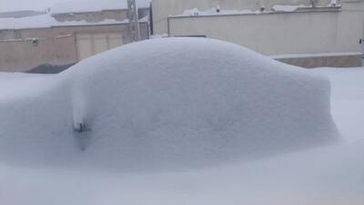 بارش یک و نیم متر برف در این نقطه از شمال ایران !