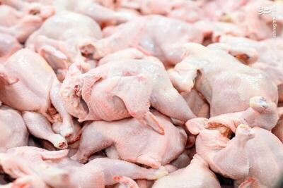 روزانه ۱۹۰ تا ۲۰۰ تن مرغ در استان همدان تولید می‌شود