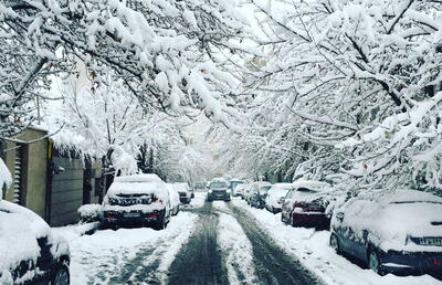 ببینید | چهره زمستانی زعفرانیه تهران
