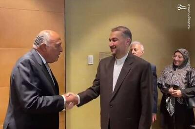 فیلم/ دیدار وزرای امور خارجه ایران و مصر در ژنو