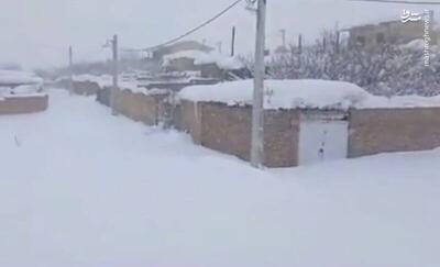 فیلم/ بارش یک متریِ برف در یکی از روستاهای قزوین