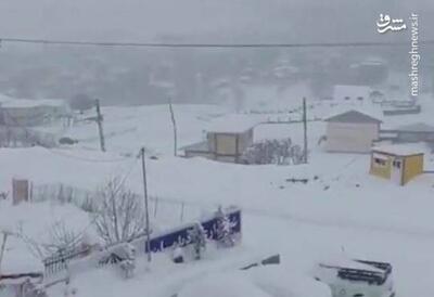 فیلم/ حجم سنگین برف در گیلان