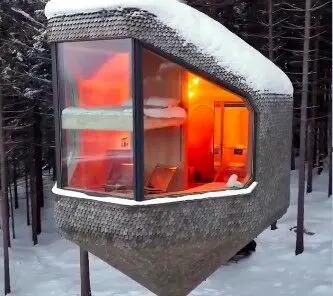 خانه درختی مدرن در دل برف+ فیلم