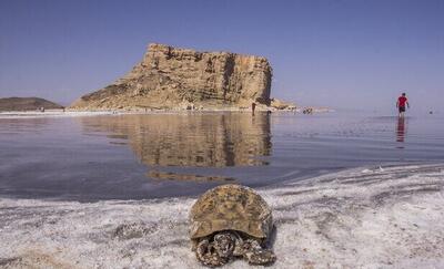 سدسازی بی‌رویه در حوضه آبریز ارومیه  باعث مرگ دریاچه و تشدید فرونشست منطقه شده است