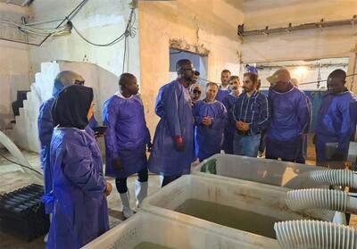 سفر هیئتی از شیلات سنگال به بوشهر برای دریافت دانش پرورش آبزیان - تسنیم