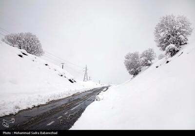 آخرین اخبار از یخ‌بندان لرستان| راه روستایی 4 شهرستان مسدود است/ تداوم کولاک برف در ارتفاعات - تسنیم
