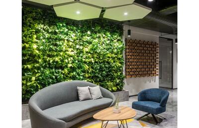 دیوار سبز مصنوعی: راه حلی خلاقانه برای ارتقای کیفیت محیط