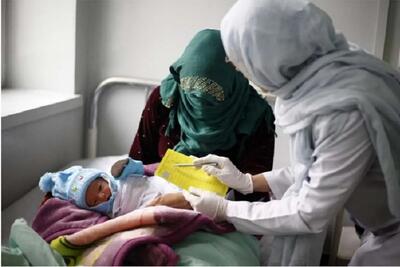 افزایش ۷۰ درصدی تولد‌ها از مادران غیرایرانی | اقتصاد24