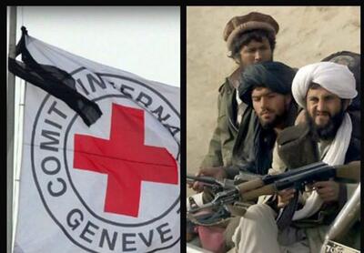 قول مهم طالبان به صلیب سرخ جهانی