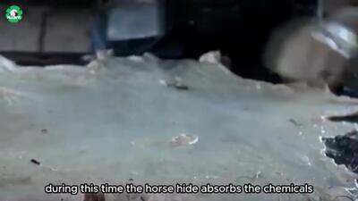 (ویدئو) چگونه گوشت هزاران اسب، نهنگ غول پیکر و خاویار برش و بسته بندی می شود؟
