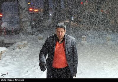 (تصاویر) بارش شبانه برف در تهران