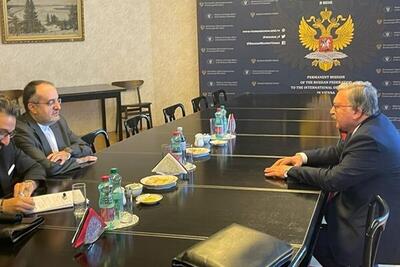دیدار اولیانوف با نماینده ایران در آژانس بین‌المللی انرژی اتمی