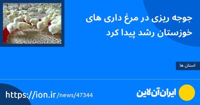 جوجه‌ریزی در مرغ‌داری‌های خوزستان رشد پیدا کرد