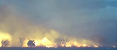 صدور فرمان تخلیه در مناطقی از ایالت تگزاس به دلیل آتش سوزی در جنگل‌ها