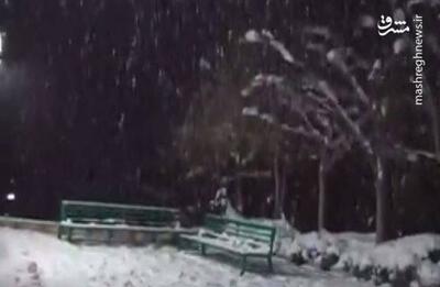 فیلم/ بارش برف در منطقه ۵ تهران