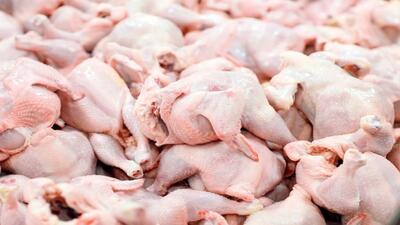 افزایش قیمت مرغ در راه است | قیمت گوشت مرغ در بازار چقدر شد؟