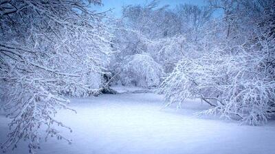 حجم بارش برف در مناطق نیاوران و سعادت آباد | رویداد24