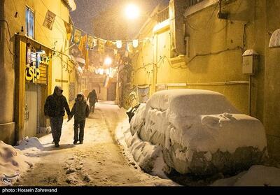 بارش برف شبانه در تهران- عکس خبری تسنیم | Tasnim