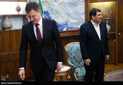 دیدار معاون نخست وزیر روسیه با معاون اول رییس جمهور- عکس خبری تسنیم | Tasnim