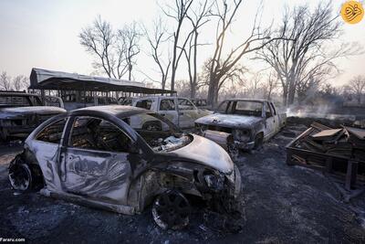 (تصاویر) آتش‌سوزی فاجعه‌بار در جنگل‌های تگزاس
