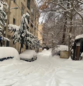 برف نیم متری دیشب در تهران +عکس