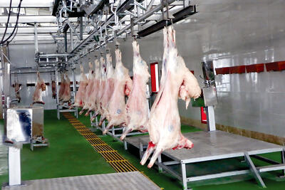عرضه گوشت در پایین‌ترین  سطح 44 ماه اخیر