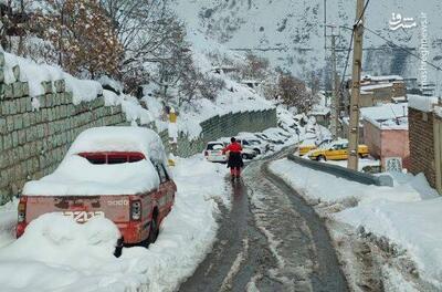 عکس/ حجم سنگین برف در منطقه درکه تهران