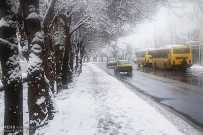 خدمات ناوگان اتوبوس شهری یزد در روزهای برفی برقرار است