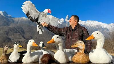 (ویدئو) پخت دیدنی اردک در تنور به روش آشپز مشهور در یک روستای بهشتی در آذربایجان